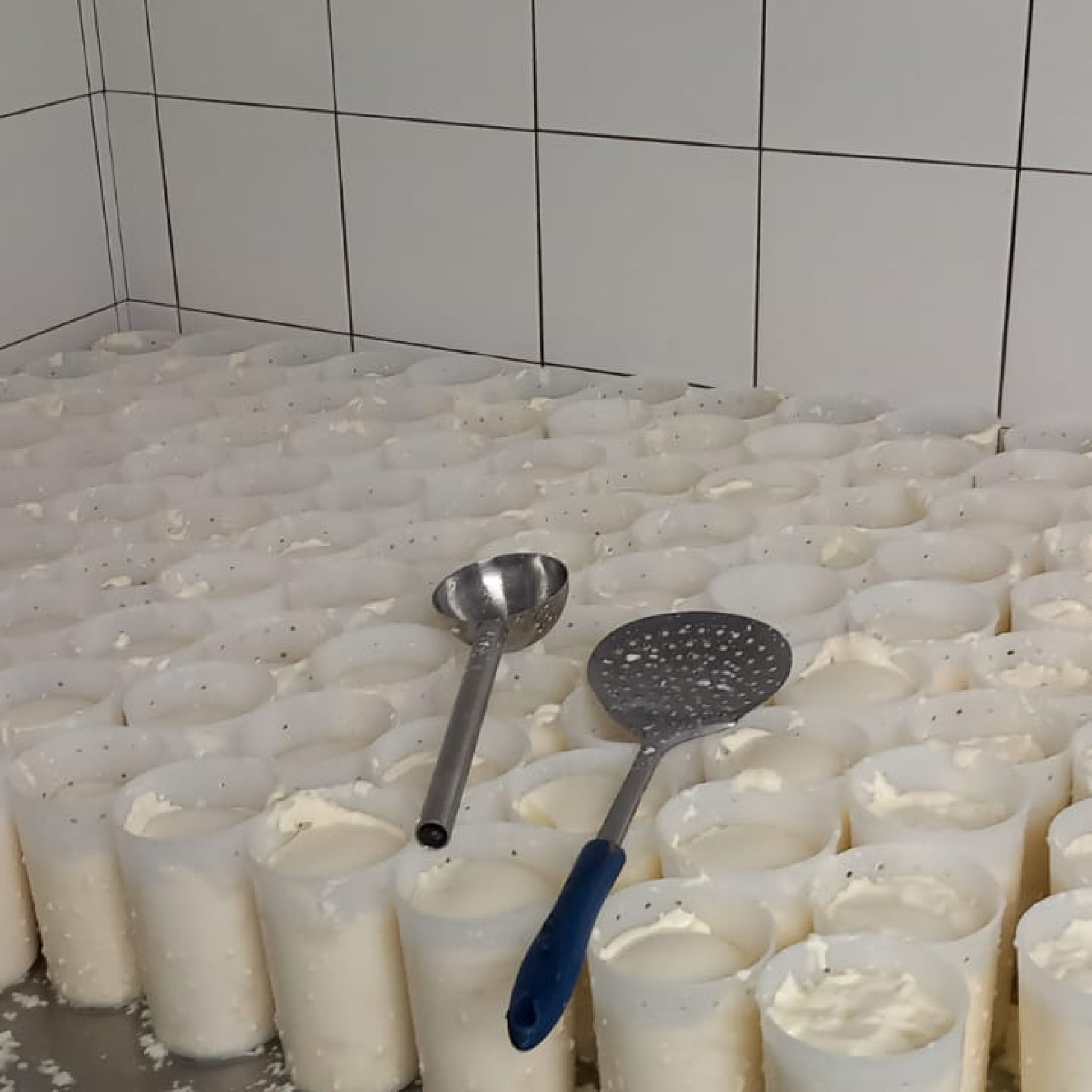 WhatsApp Image 2023-10-10 at 11.31.21 (4)